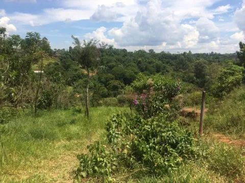 Terreno - Monte Negro, Santa Isabel