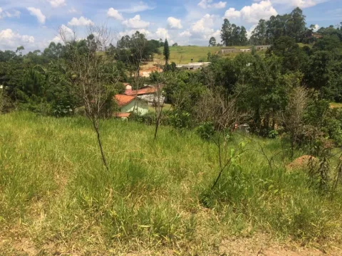 Terreno - Monte Negro, Santa Isabel