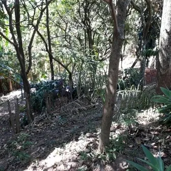 Chácara - Santo Antônio Rio Acima, LOUVEIRA