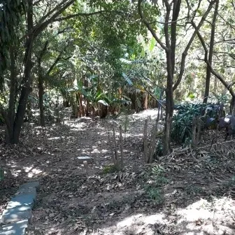 Chácara - Santo Antônio Rio Acima, LOUVEIRA