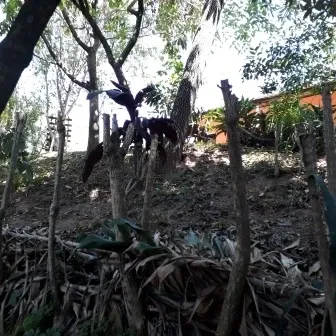 Chácara - Santo Antônio Rio Acima, LOUVEIRA