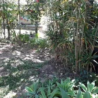 Chácara - Santo Antônio Rio Acima, LOUVEIRA