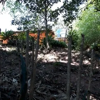 Chácara - Santo Antônio Rio Acima, LOUVEIRA