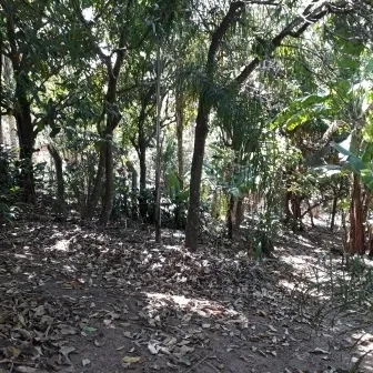 Chácara - Santo Antônio Rio Acima, LOUVEIRA