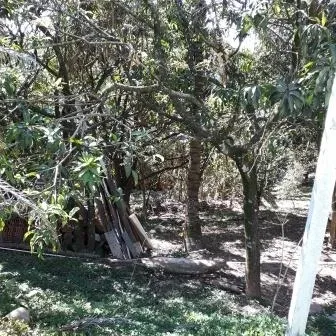 Chácara - Santo Antônio Rio Acima, LOUVEIRA