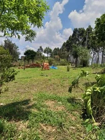 Chácara - Perus, São Paulo