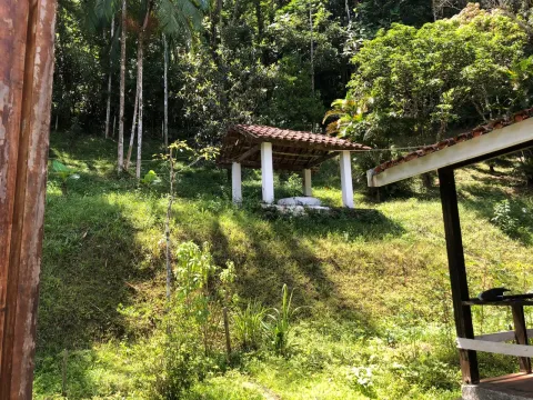 Sítio - Ribeirão de Júlio, Miracatu