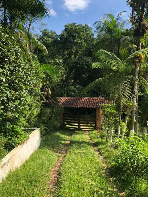 Sítio - Ribeirão de Júlio, Miracatu