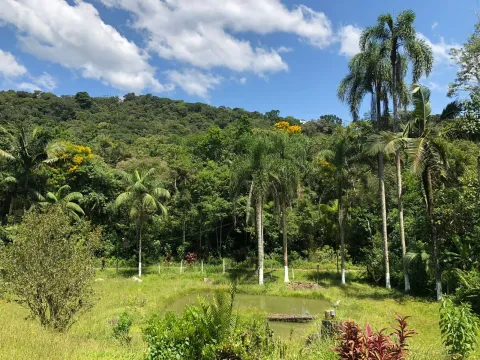 Sítio - Ribeirão de Júlio, Miracatu