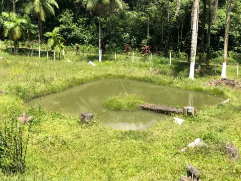 Sítio - Ribeirão de Júlio, Miracatu