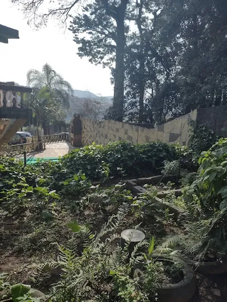 Sítio - Perus, São Paulo