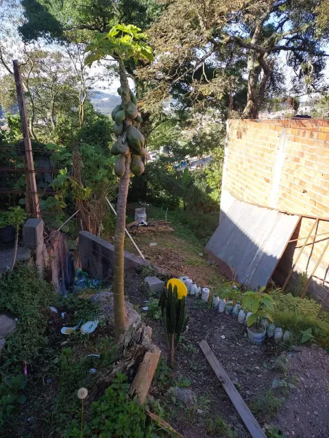 Terreno - Polvilho, Cajamar
