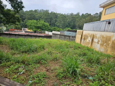 Terreno - Perus, São Paulo