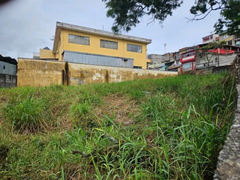 Terreno - Perus, São Paulo