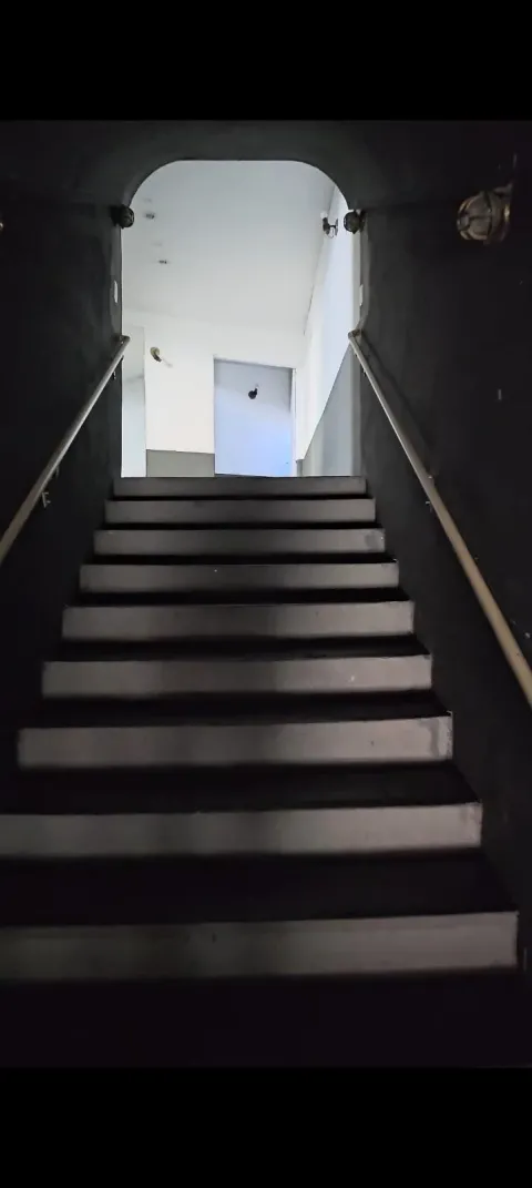 56923