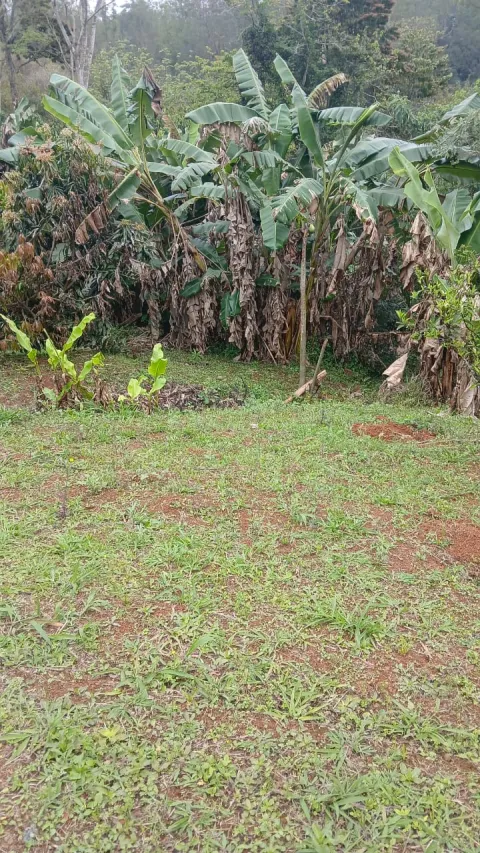 Lote Bairro Vau Novo - Vau Novo / Lago Azul, Cajamar